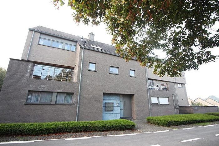 12-kamerappartement te koop in Sterrebeek