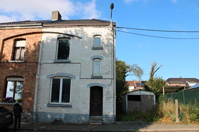 4-kamerhuis te koop in Bray