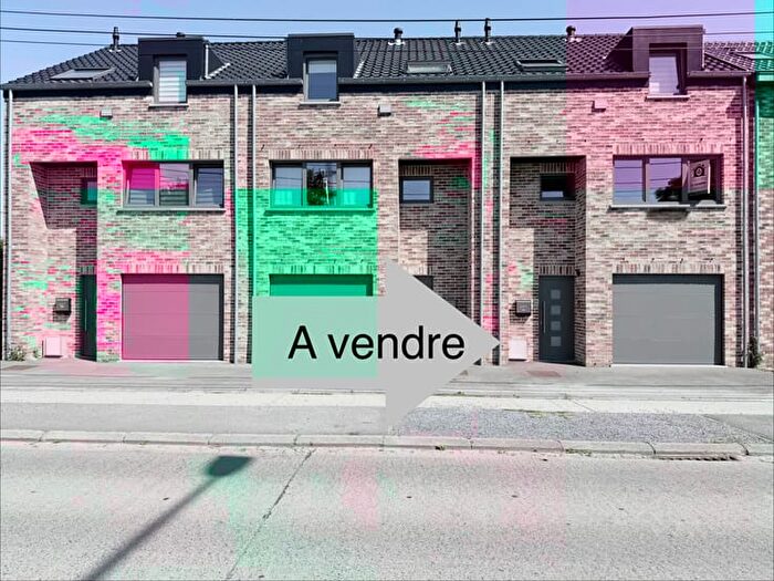 13-kamerhuis te koop in Saint-Ghislain
