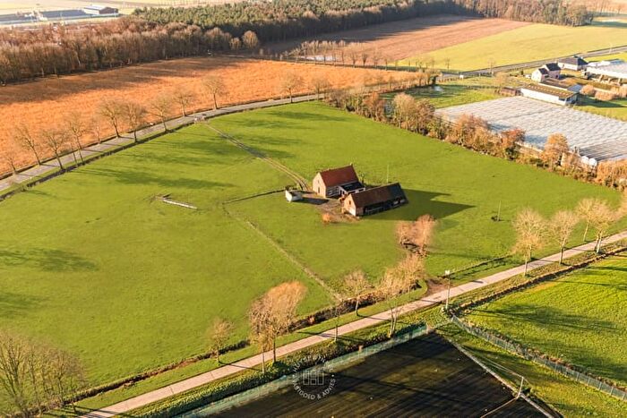 Huizen Koop Huur - 2