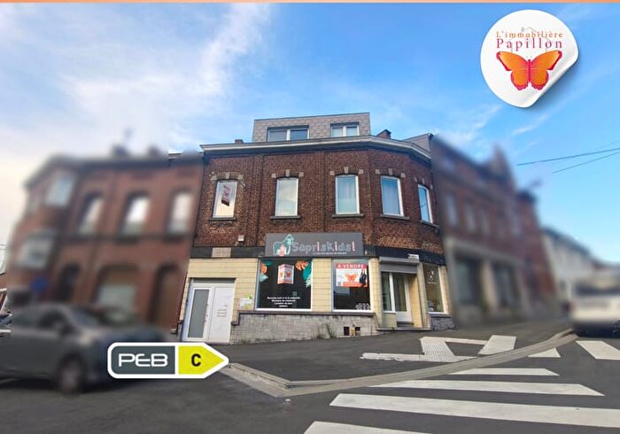 15-kamerhuis te koop in Marcinelle