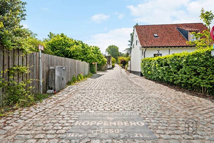 2-kamerhuis te koop in Oudenaarde Melden