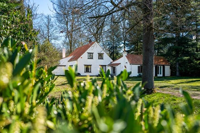 19-kamerhuis te koop in Vellereille-les-Brayeux