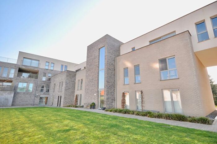 10-kamerappartement te huur in Ronse
