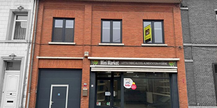 4-kamerhuis te koop in Stambruges