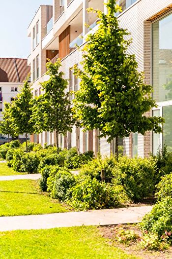 3-kamerhuis te koop in Gent
