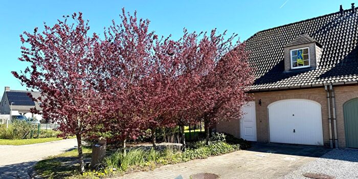 3-kamerhuis te koop in Astene