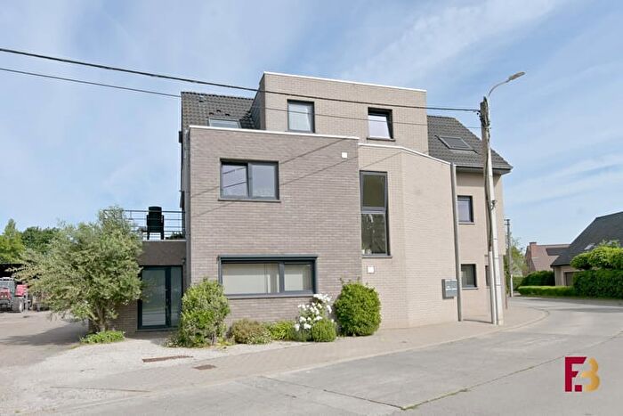 6-kamerappartement te huur in Massemen