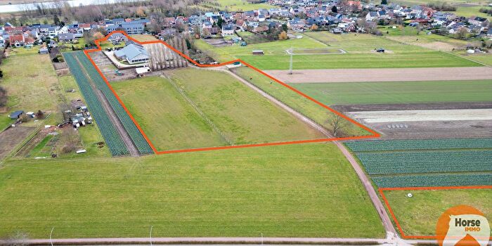 4-kamerhuis te koop in Hingene