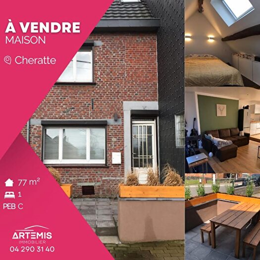 4-kamerhuis te koop in Visé