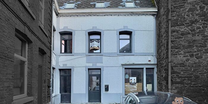 3-kamerhuis te koop in Thuin