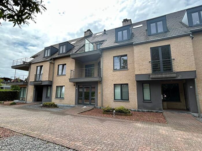 2-kamerappartement te huur in Maaseik