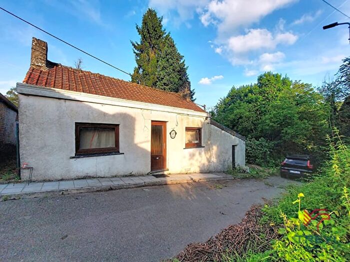 2-kamerhuis te koop in MARCHIENNE-AU-PONT