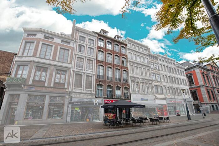 9-kamerhuis te koop in Liège