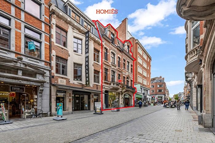 9-kamerhuis te koop in Leuven