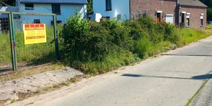 4-kamerhuis te koop in Blaregnies