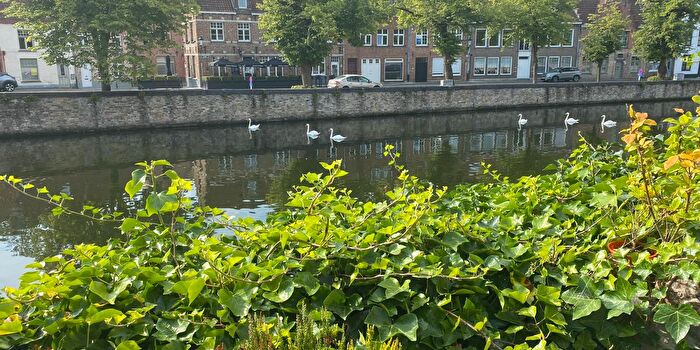 3-kamerhuis te huur in Brugge