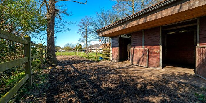 Huizen Koop Huur - 3