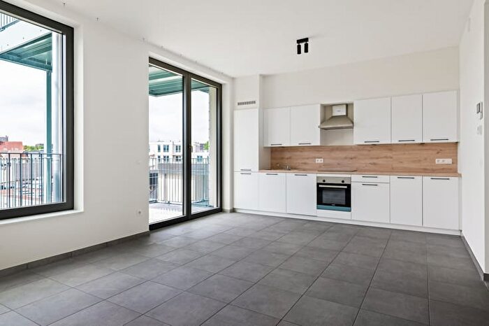 9-kamerappartement te huur in Antwerpen (2018)