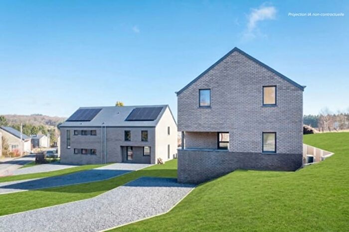 3-kamerhuis te koop in Paliseul, Naomé
