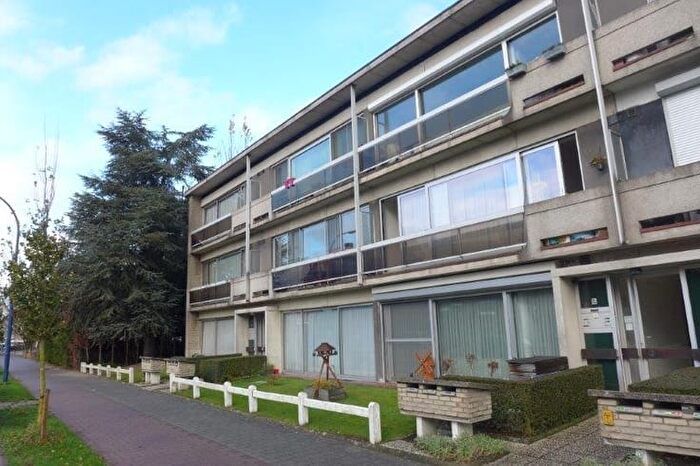 13-kamerappartement te koop in Kontich