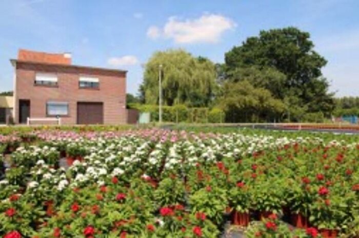4-kamerhuis te koop in Aalst