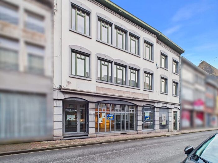 6-kamerhuis te koop in Enghien