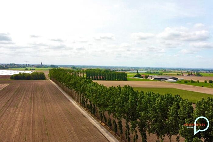 5-kamerhuis te koop in Diksmuide Esen