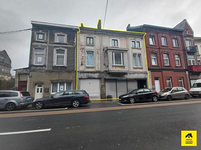 4-kamerhuis te koop in Charleroi-Marchienne-au-Pont