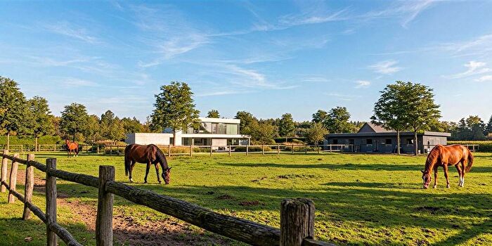 4-kamerhuis te koop in Herenthout
