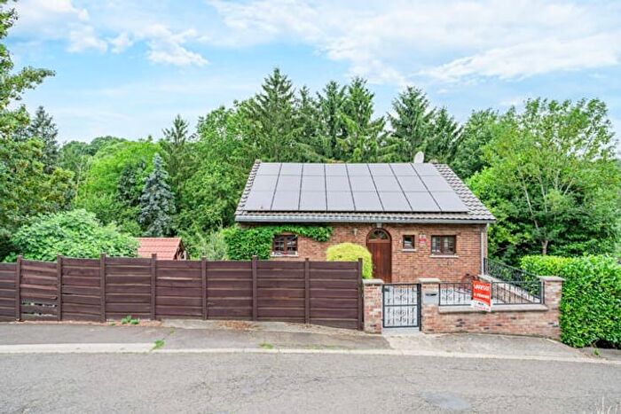 13-kamerhuis te koop in Beyne-heusay