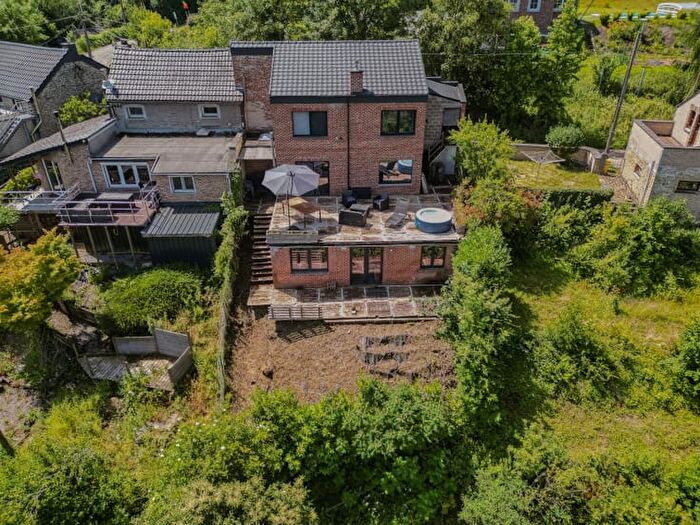 12-kamerhuis te koop in Burdinne