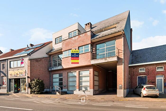 5-kamerhuis te koop in Haaltert