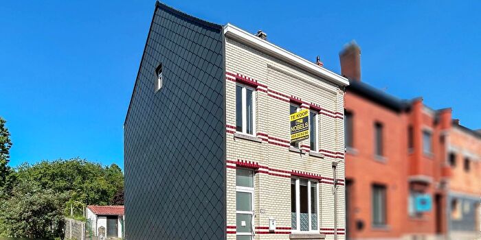 4-kamerhuis te koop in Nederbrakel