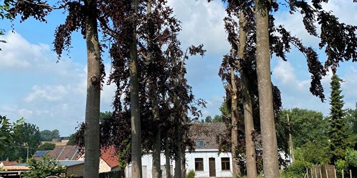 Huis te koop in Munkzwalm