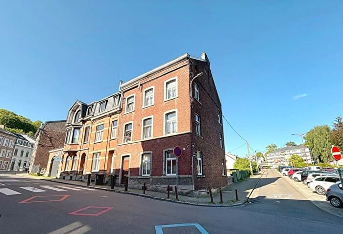 4-kamerhuis te koop in Dison