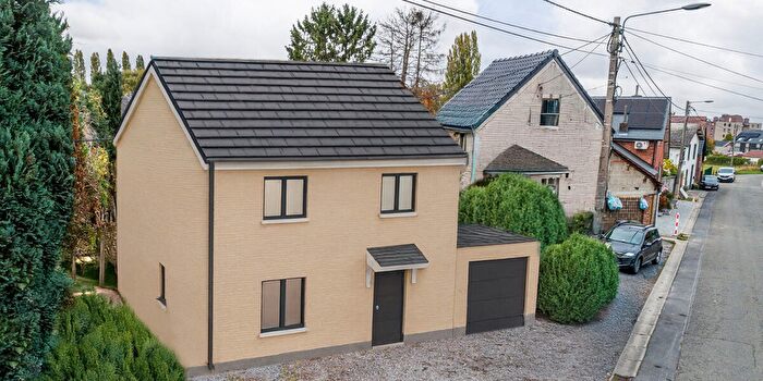 Huis te koop in Anderlues