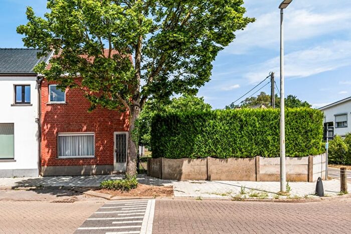 14-kamerhuis te koop in Ranst