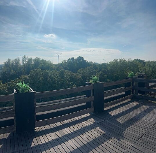 Appartement te koop in Antwerpen