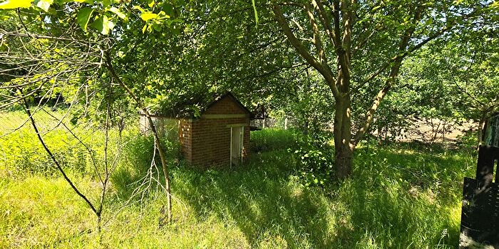 Huizen Koop Huur - 2