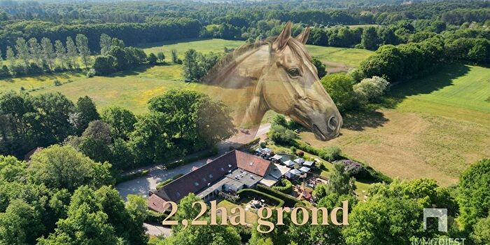 3-kamerhuis te koop in Tessenderlo