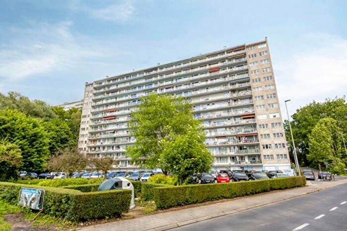 2-kamerappartement te koop in Zelllik