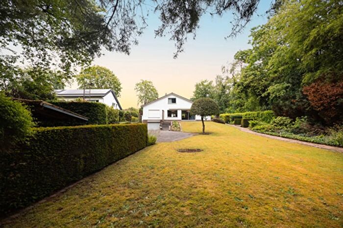 Huizen Koop Huur - 2