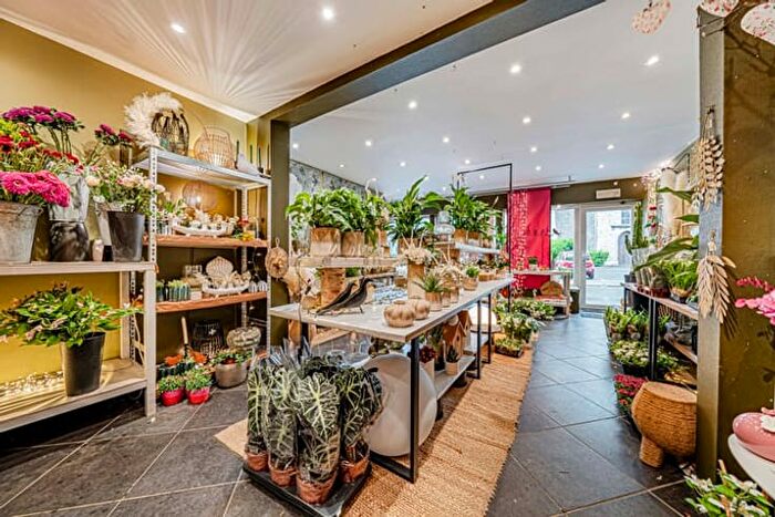Huizen Koop Huur - 2