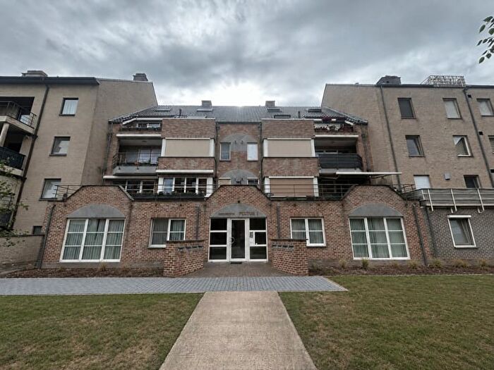 3-kamerappartement te huur in Pelt