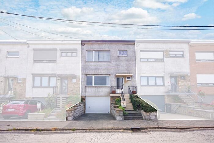 3-kamerhuis te koop in Saint-Nicolas