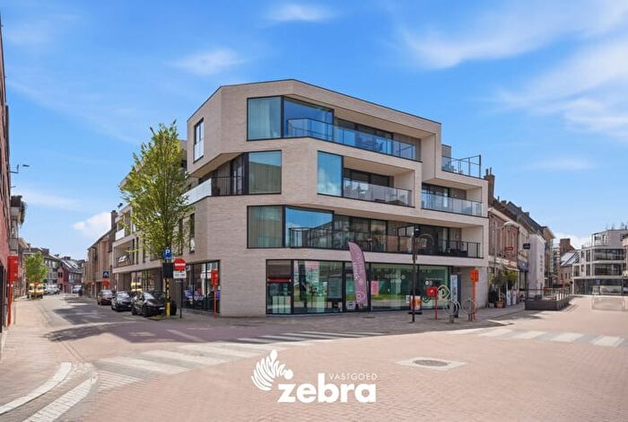 13-kamerappartement te koop in Tielt (8700)