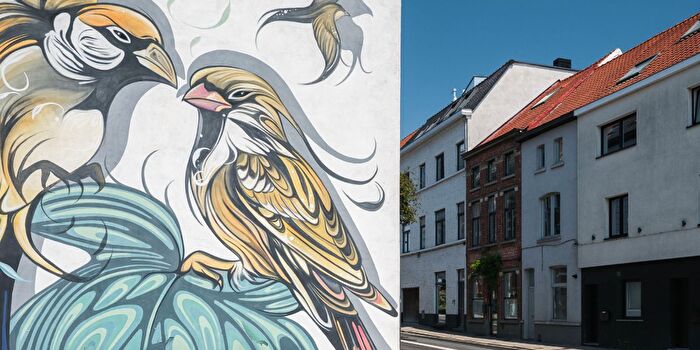3-kamerhuis te koop in Gent