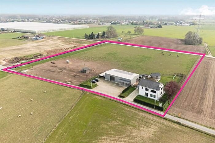 Huizen Koop Huur - 2