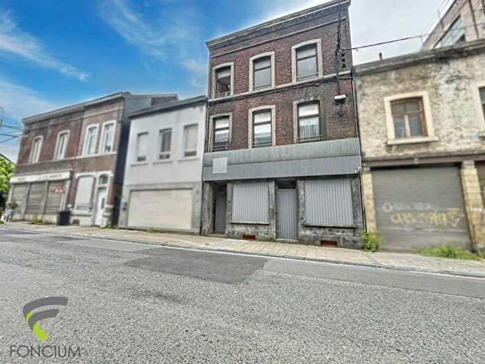 7-kamerhuis te koop in Seraing